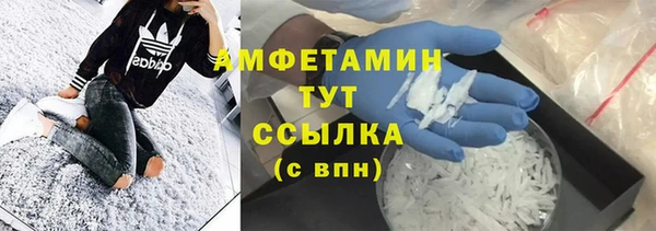 твердый Арсеньев