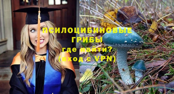первитин Протвино